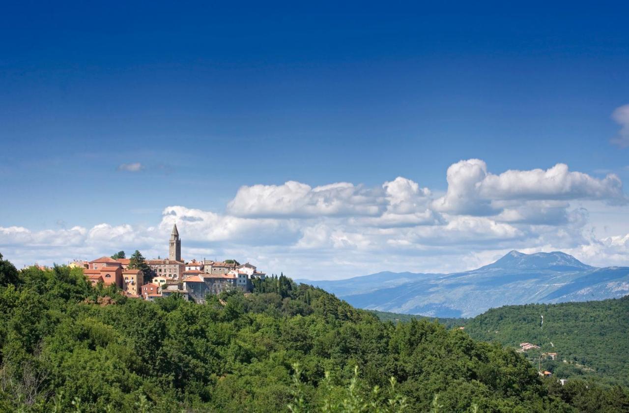 Roinizza In Prtlog Villa Labin  Exterior foto