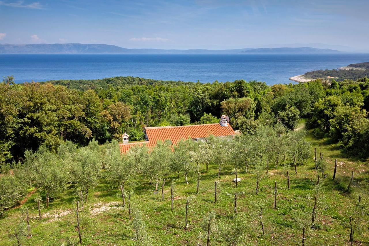 Roinizza In Prtlog Villa Labin  Exterior foto
